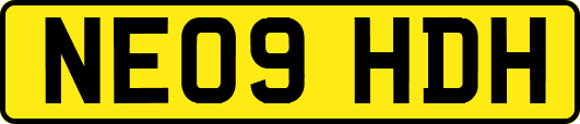 NE09HDH