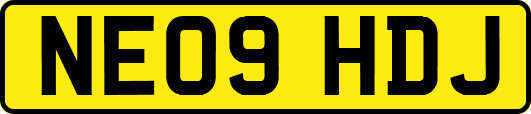NE09HDJ