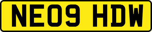 NE09HDW