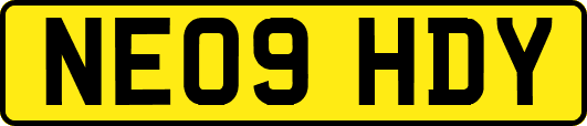 NE09HDY