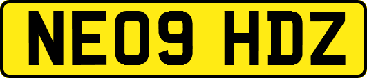 NE09HDZ