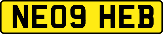 NE09HEB