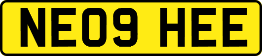 NE09HEE