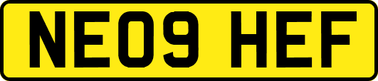 NE09HEF