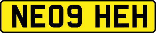 NE09HEH