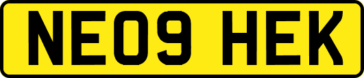 NE09HEK