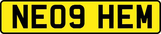 NE09HEM