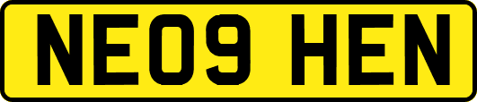 NE09HEN