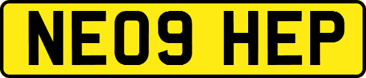NE09HEP