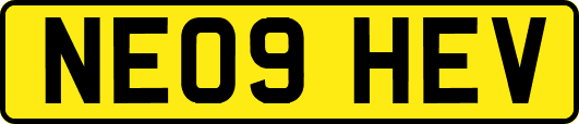 NE09HEV