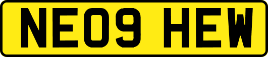 NE09HEW