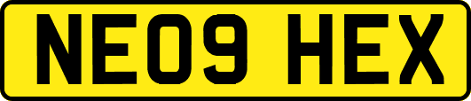 NE09HEX