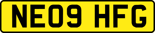 NE09HFG