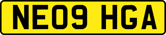 NE09HGA