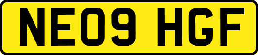 NE09HGF
