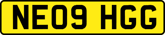 NE09HGG