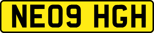 NE09HGH
