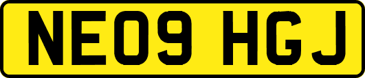 NE09HGJ