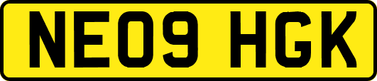 NE09HGK