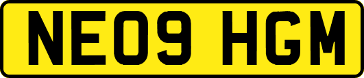 NE09HGM