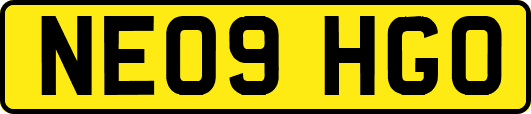 NE09HGO