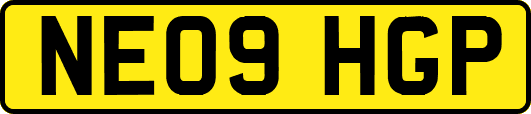 NE09HGP