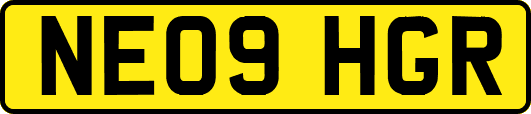 NE09HGR