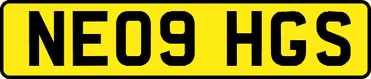 NE09HGS