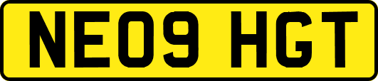 NE09HGT