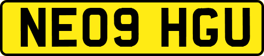 NE09HGU