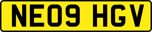 NE09HGV