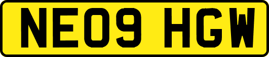 NE09HGW