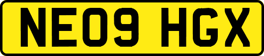 NE09HGX