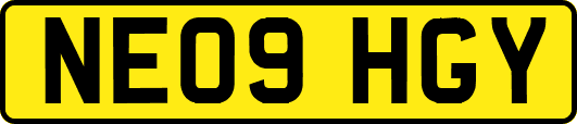 NE09HGY
