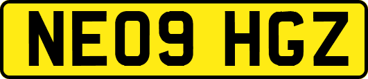 NE09HGZ