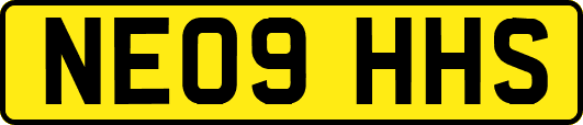 NE09HHS