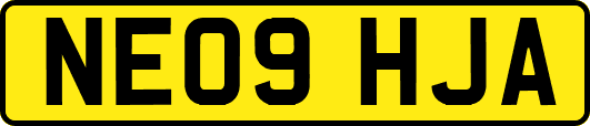 NE09HJA