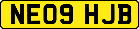 NE09HJB