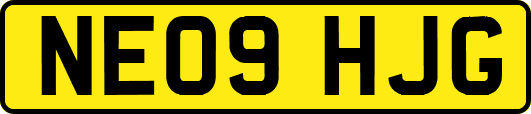 NE09HJG