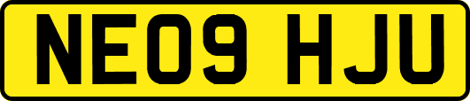 NE09HJU