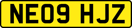 NE09HJZ