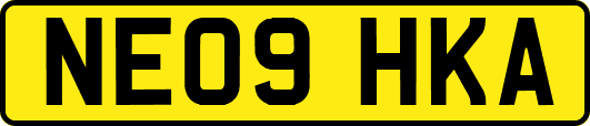 NE09HKA