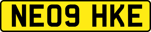 NE09HKE