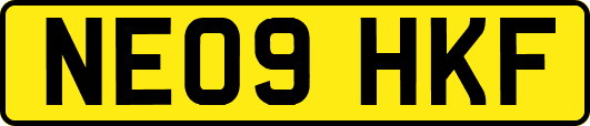 NE09HKF