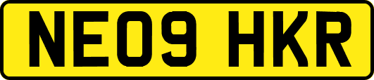 NE09HKR