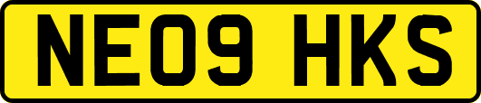 NE09HKS