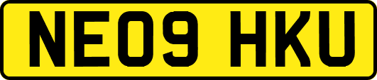 NE09HKU