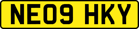 NE09HKY