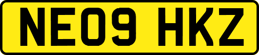 NE09HKZ