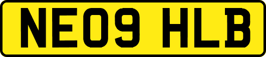 NE09HLB